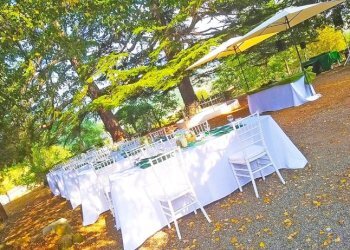 parco - Villa località Gallareto, Piana Crixia - foto 27