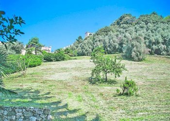 Parco - Villa via XXIV Maggio, Marostica - foto 7