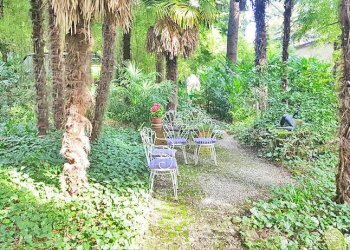 Giardino - Villa via XXIV Maggio, Marostica - foto 15