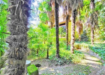 Giardino - Villa via XXIV Maggio, Marostica - foto 17