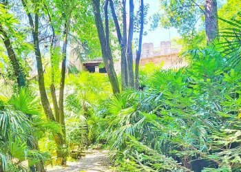 Giardino - Villa via XXIV Maggio, Marostica - foto 18