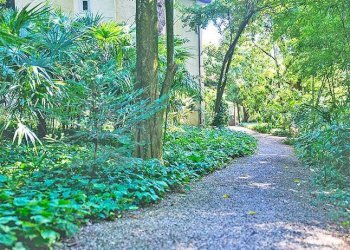 Ingresso - Villa via XXIV Maggio, Marostica - foto 26