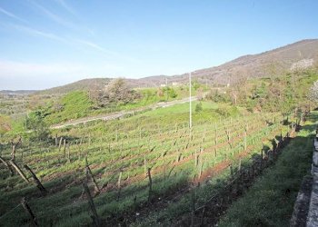 Vista panoramica - Rustico via foina, Monticelli Brusati - foto 17