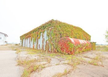 Magazzino - Capannone Strada Provinciale 596, Castelnovetto - foto 18