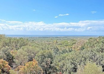 Vista panoramica - Villa Manduria - foto 4