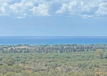 Vista panoramica - Villa Manduria - foto 5