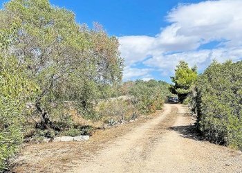 Terreno - Villa Manduria - foto 16