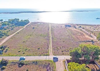 Area fronte mare - Terreno edificabile Porto Cesareo - foto 4