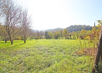 Terreni - Rustico via agricoltura, Caprino Bergamasco - foto 16