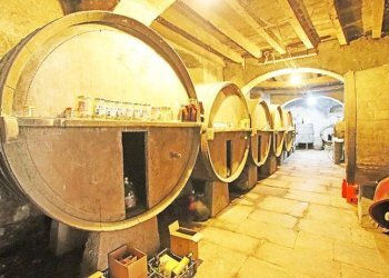 Cantina - Rustico via agricoltura, Caprino Bergamasco - foto 40