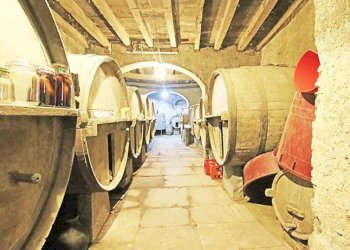 Cantina - Rustico via agricoltura, Caprino Bergamasco - foto 41