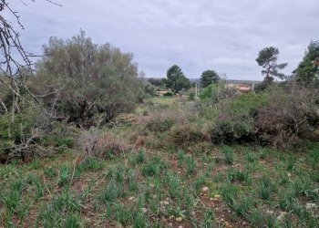giardino - Rustico Cugni Stallaini, Noto - foto 3