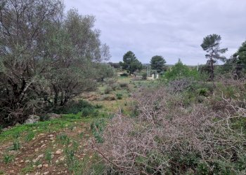 giardino - Rustico Cugni Stallaini, Noto - foto 6