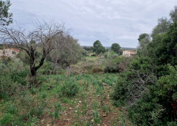 giardino - Rustico Cugni Stallaini, Noto - foto 9