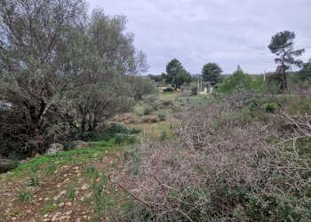 giardino - Rustico Cugni Stallaini, Noto - foto 10