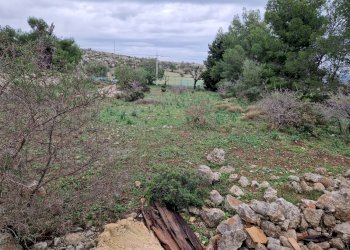 Foto 12 - Rustico Cugni Stallaini, Noto - foto 12