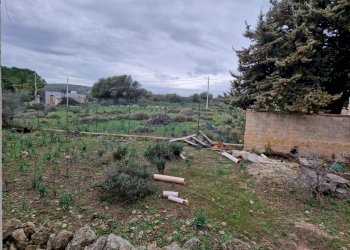 Foto 14 - Rustico Cugni Stallaini, Noto - foto 14