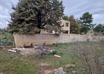 giardino - Rustico Cugni Stallaini, Noto - foto 15