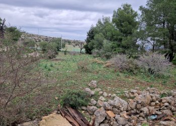 giardino - Rustico Cugni Stallaini, Noto - foto 16