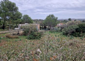 giardino - Rustico Cugni Stallaini, Noto - foto 21
