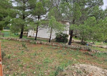 giardino - Rustico Cugni Stallaini, Noto - foto 23