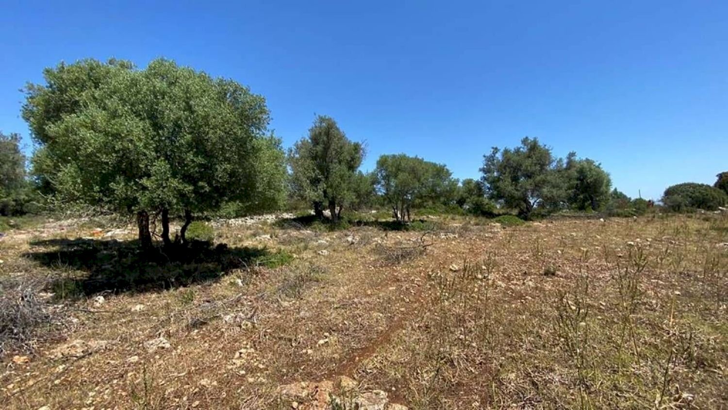 Foto 1 - Agricultural land Contrada Teste Mozze
 
snc, Noto - photo 1