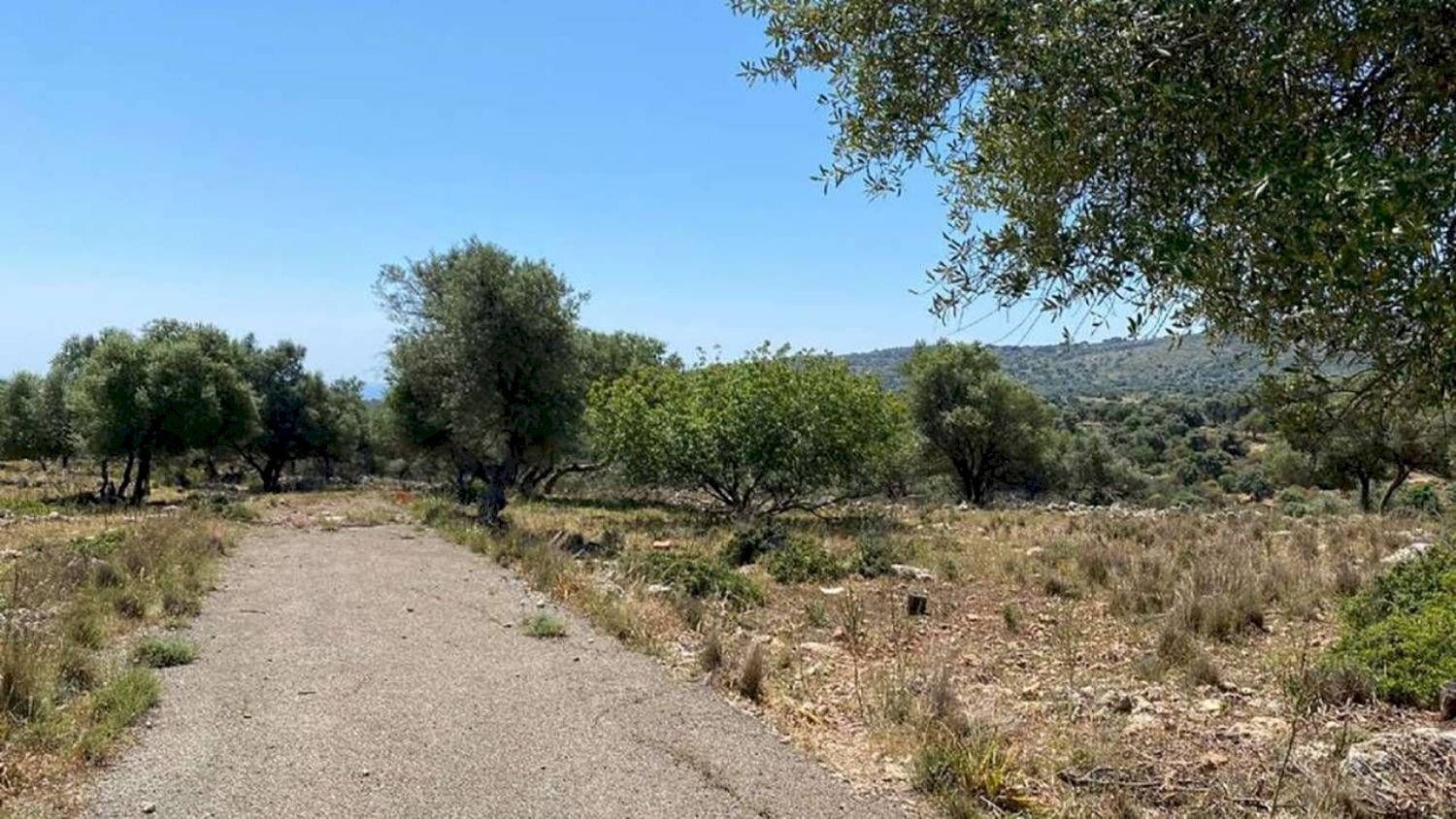 Foto 2 - Agricultural land Contrada Teste Mozze
 
snc, Noto - photo 2