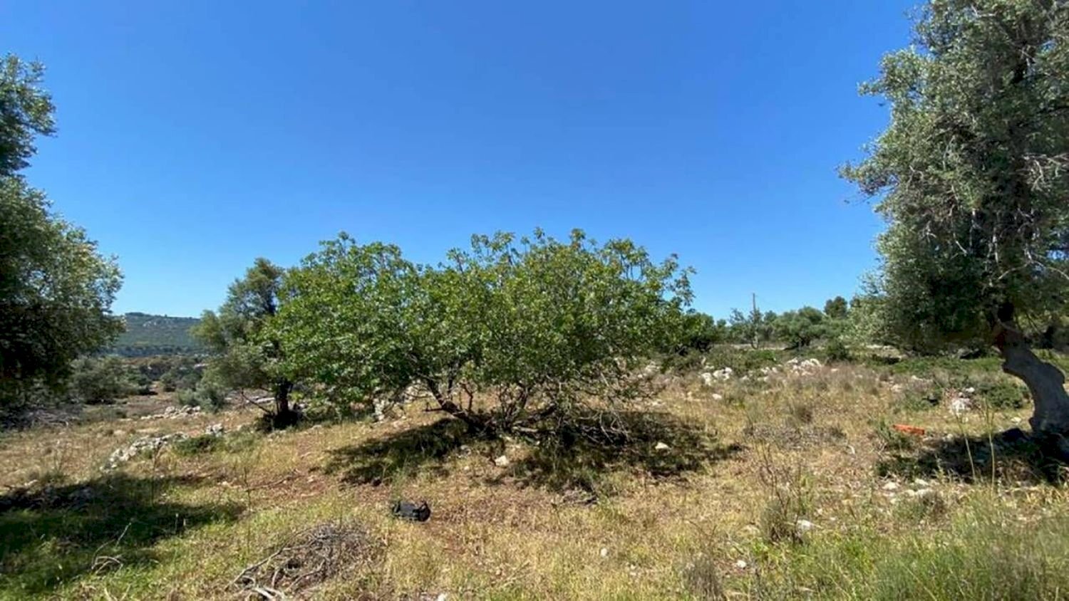 Foto 3 - Agricultural land Contrada Teste Mozze
 
snc, Noto - photo 3