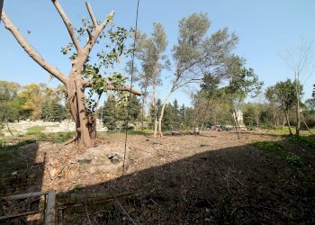 giardino - Quadrilocale Via Salso, Siracusa - foto 4