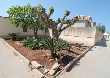 giardino - Villa Viale Epipoli, Siracusa - foto 27