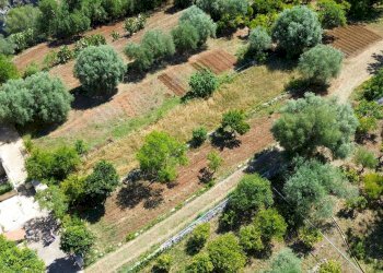 Foto 4 - Villa Contrada Condotte
 
snc, Canicattini Bagni - foto 4