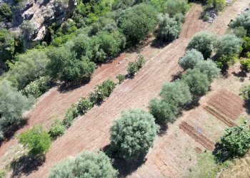 giardino - Villa Contrada Condotte
 
snc, Canicattini Bagni - foto 20