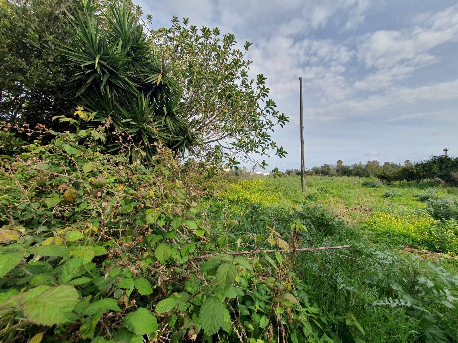 Foto 3 - Magazzino Traversa Rumania, Siracusa - foto 3