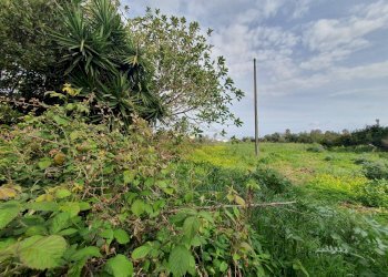 Foto 3 - Magazzino Traversa Rumania, Siracusa - foto 3