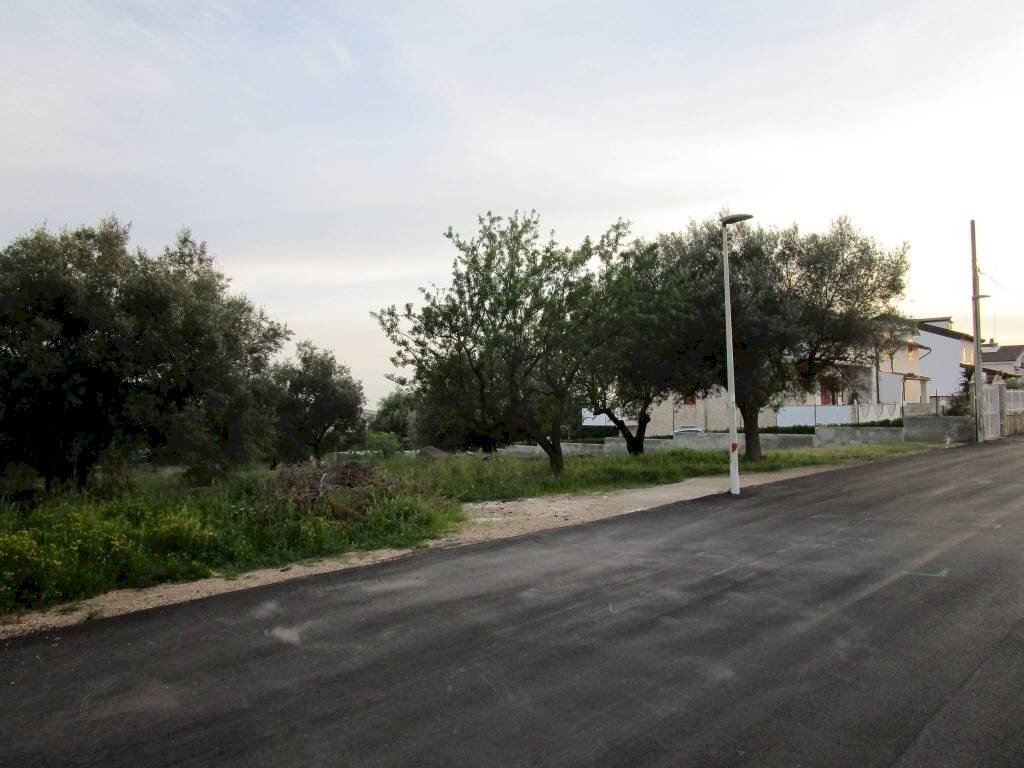 Terreno - Terreno edificabile Statte - foto 3