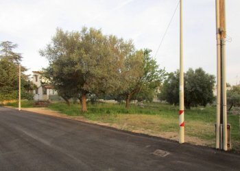 Terreno - Terreno edificabile Statte - foto 2