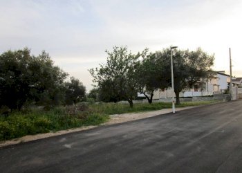 Terreno - Terreno edificabile Statte - foto 3