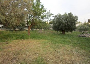 Terreno - Terreno edificabile Statte - foto 4