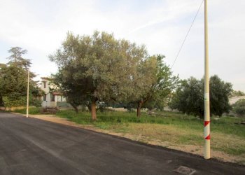 Terreno - Terreno edificabile Statte - foto 5