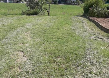 Terreno - Quadrilocale Borgo San Dalmazzo - foto 14