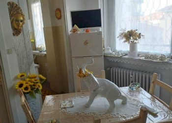 Cucina - Monolocale corso Vittorio Emanuele II, Cuneo (zona Donatello) - foto 4