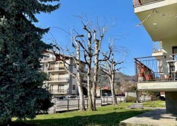 Giardino - Quadrilocale via S. Toja, Luserna San Giovanni - foto 40