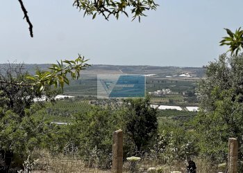 Terreno edificabile Noto - foto 1