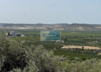 Terreno edificabile Noto - foto 2