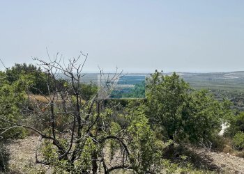 Terreno edificabile Noto - foto 4