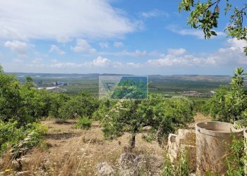 Terreno edificabile Noto - foto 5