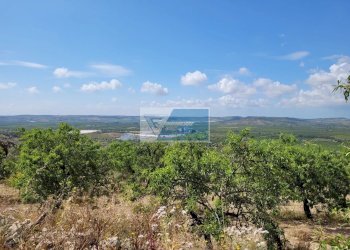 Terreno edificabile Noto - foto 7