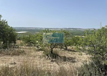 Terreno edificabile Noto - foto 9