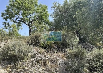 Terreno edificabile Noto - foto 10