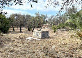 Villa hamlet Isola, Siracusa - photo 8